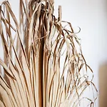 Altes Dorfhaus Sechzehneichen Lejlighed